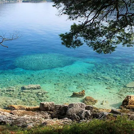 By The Sea Ubli Ubli